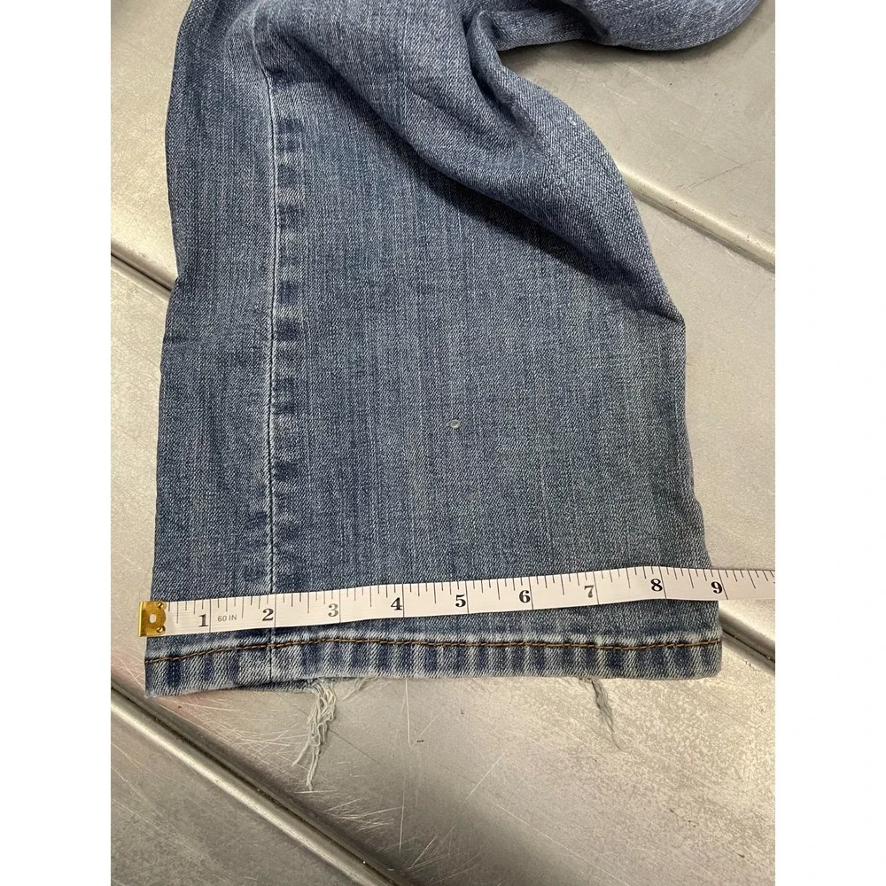 Levis levis 527